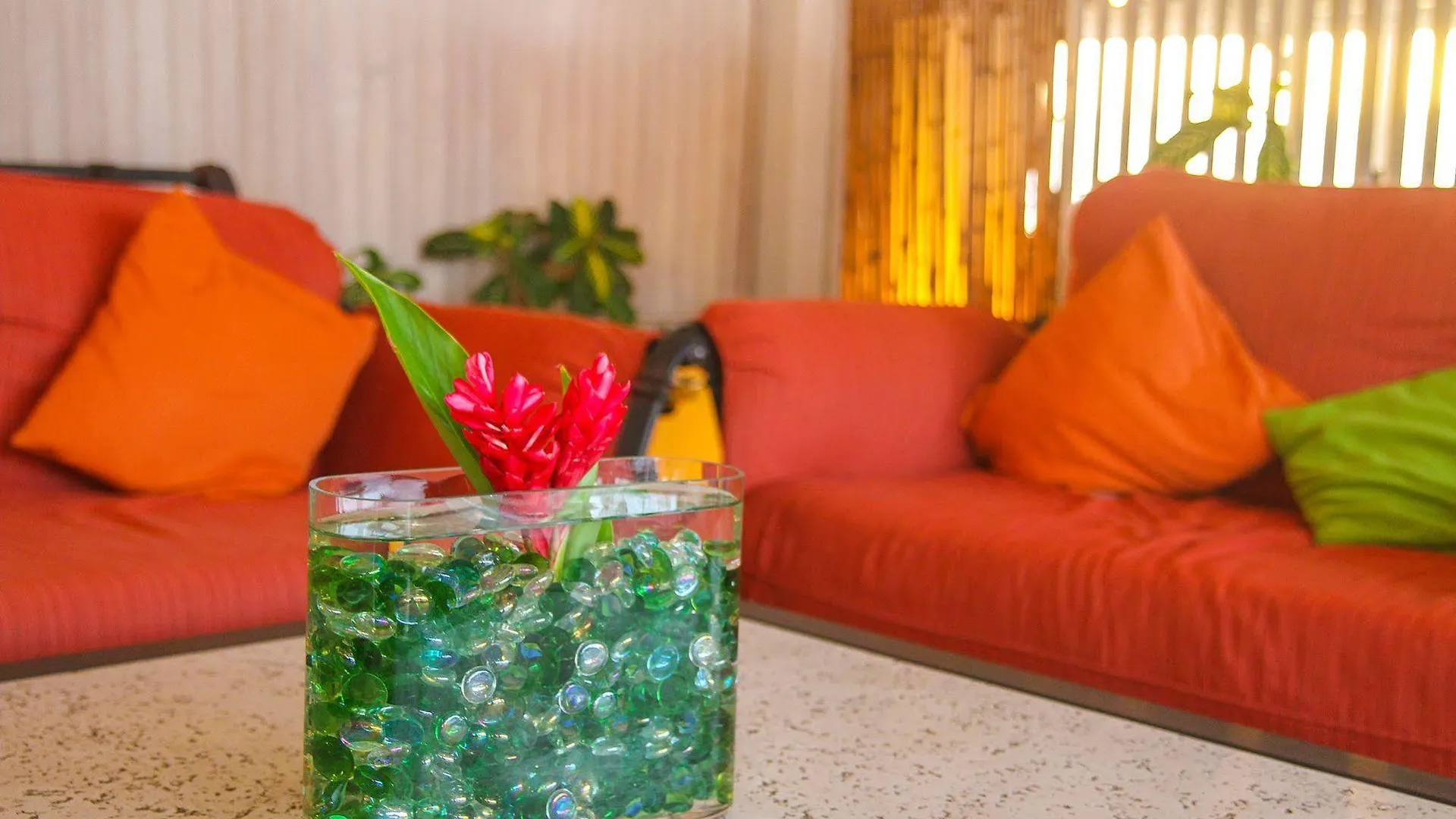 Trade Winds Hotel Dickenson Bay